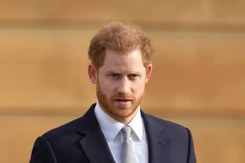 Queen, Charles and William ‘in despair’ over Prince Harry’s memoir and ‘wonder when rollercoaster..