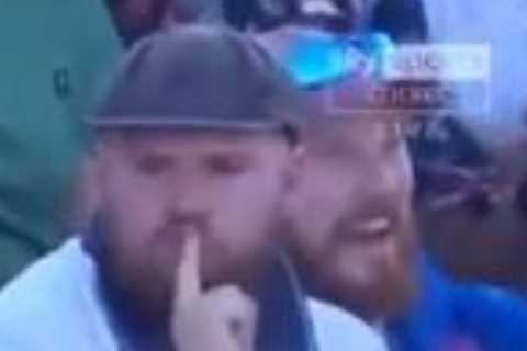 Watch England cricket fan propose to girlfriend on live TV during Pakistan T20… as Sky Sports give..