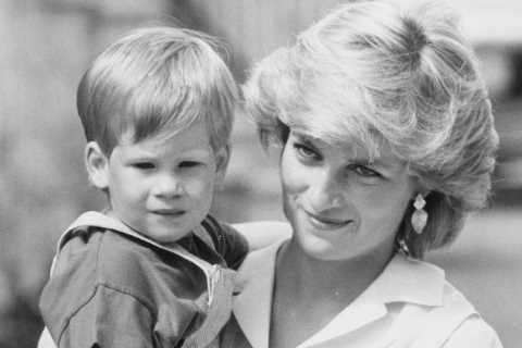 Prince Harry’s memoir will focus on Princess Diana’s death and who he blames, ‘well-informed..