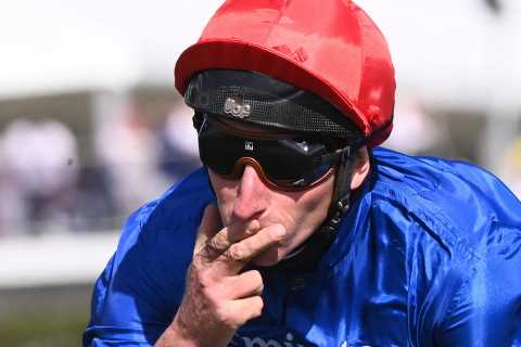 King George runners rated by Templegate in complete horse-by-horse guide to £875,000 Ascot race