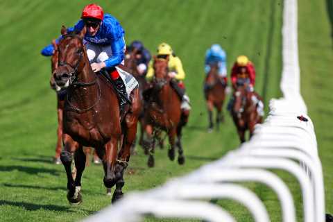 ‘Gentle giant’ Adayar takes on Love in mouthwatering Ascot clash as he chases rare Derby-King..