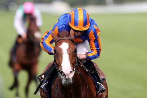 Horse racing betting offer: Get Love to win the King George at Ascot at enhanced 30/1 with William..