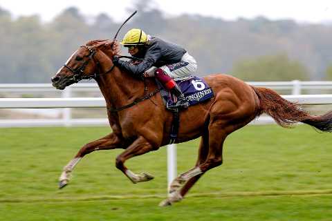 Glorious Goodwood Day 1: Matt Chapman with his best bets as festival gets underway and Stradivarius ..