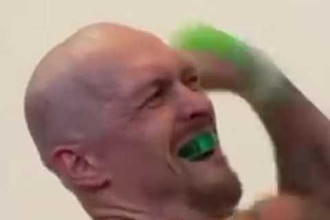 Watch Oleksandr Usyk hit the speed bag as ex-cruiserweight king prepares for Anthony Joshua showdown
