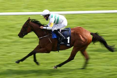 Shambolic scenes at Galway Festival as WRONG horse runs in race and ends up winning before being..