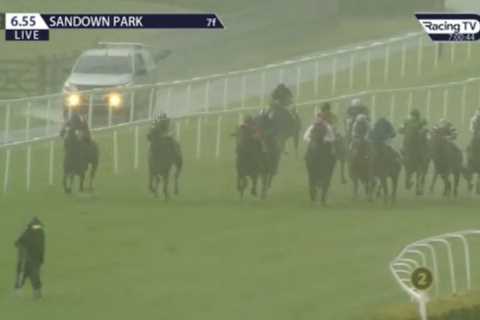 Watch unbelievable moment dopey groundsman gets fright of his life after failing to see 13 horses..