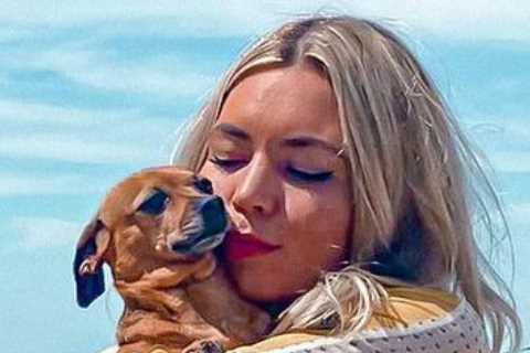 A Place in the Sun’s Danni Menzies heartbroken after finding ‘half-dead’ puppy in middle of filming