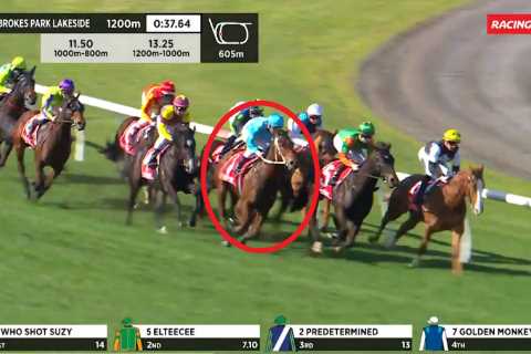 Watch race that landed top trainer £2700 fine after he slammed jockey for ‘making sure horse didn’t ..