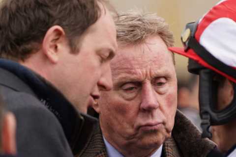 How Harry Redknapp was conned out of £10,000 by a fake jockey who ended up next to Gareth Bale in..