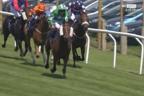 Emotional owners who scooped £112,000 from beloved horse tear up after his last ever race in..