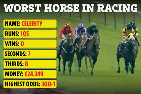 Officially the worst horse in racing still trying to win at 106th attempt for trainer who insists..