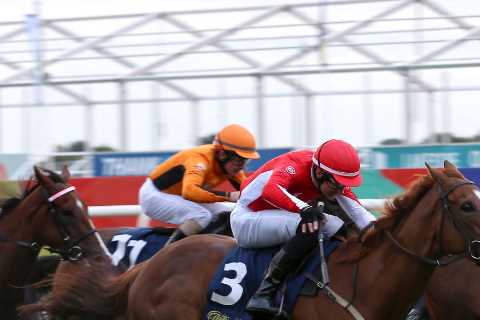 Racing League LATEST odds after night of upsets at Doncaster sees Team Racehorse Lotto take lead