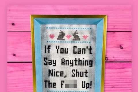 American Pickers’ Danielle Colby writes ‘shut the f**k up’ in not-so cryptic post after Frank Fritz ..
