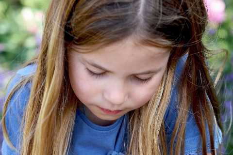 Princess Charlotte sweetly cradles a butterfly in snap taken by mum Kate Middleton as Royals share..