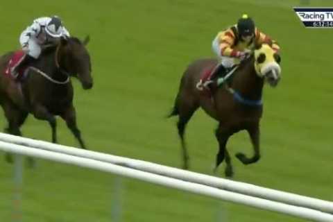 Watch incredible scenes as horse FINALLY wins on 106th attempt as trainer and jockey celebrate..