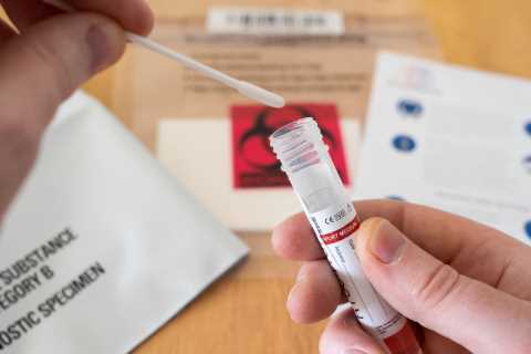Home flu testing kits could be launched in months after fears 60,000 deaths could leave NHS facing..