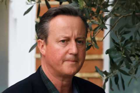 David Cameron netted £7.5MILLION from Greensill Capital before firm collapsed, papers reveal