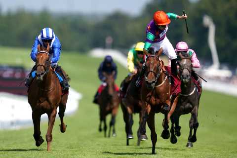 Star of Goodwood Lady Bowthorpe to go on travels for next outing as trainer William Jarvis readies..