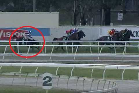 Investigation launched after jockey breaks neck, back and collarbone in unexplained mid-race fall