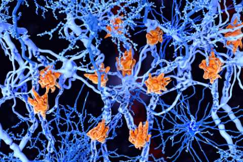 What is the definition of immunocompromised?