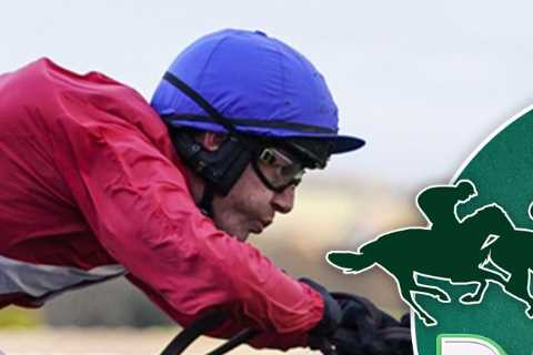 Racing tips: Templegate NAPs a winner for the Queen at Newbury who should go in after taking debut..