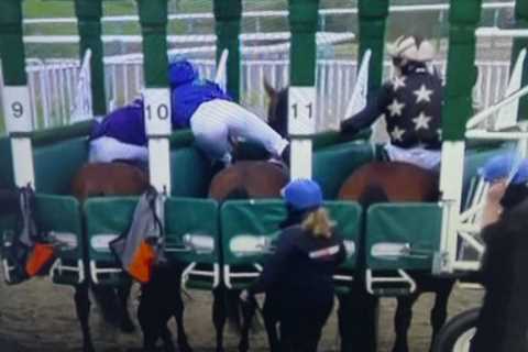 Watch hero Hayley Turner save rival from potentially serious injury in dangerous stalls incident