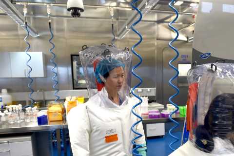 World Health Organisation cleared Wuhan lab of Covid leak after just TWO HOURS