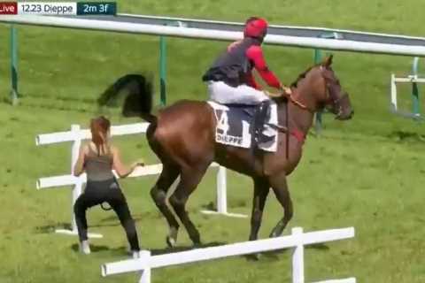 Watch jockey get launched off ‘bucking bronco’ horse after smack to control it goes horribly wrong