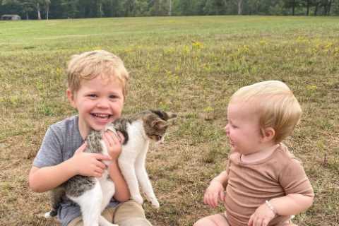 Joy-Anna Duggar reveals family’s new kitten as she shares pics of pet with son Gideon, 3, and..