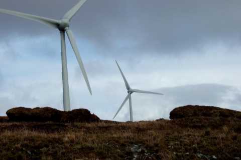 Energy suppliers face crackdown over misleading green tariff claims