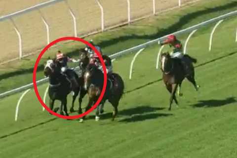 Winning jockey apologises for bashing horse as stewards release statement explaining why result was ..