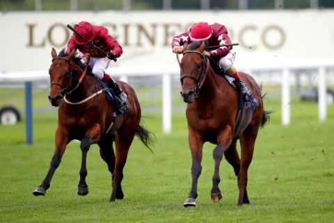 Nunthorpe favourite Golden Pal ‘could be the best’ Wesley Ward has trained – with Frankie Dettori..