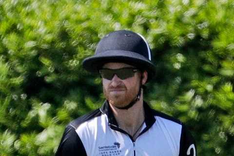 Prince Harry to make first public appearance after birth of Lilibet by hosting polo match in US to..