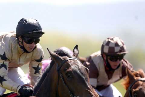 Racehorse trainer slams TV pundits for ‘writing off’ her horse after he wins at 50-1 and 200-1