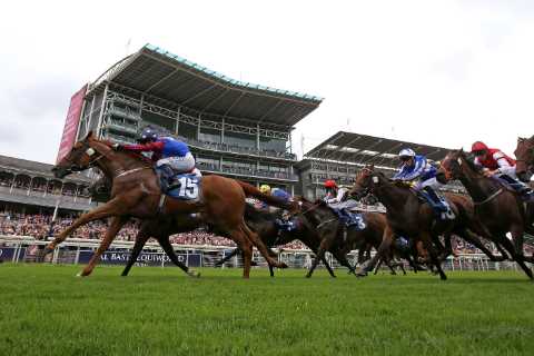 York Ebor betting offer: Get either Stradivarius or Trueshan to win the York Lonsdale Cup at huge..