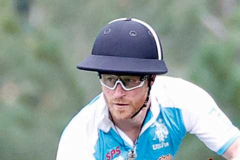Eco-warrior Prince Harry flies home from polo event on millionaire pal’s private jet
