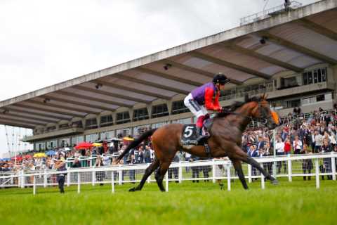 Excitement grows as The Queen’s Reach For The Moon wins Solario Stakes and now just 14-1 for Epsom..