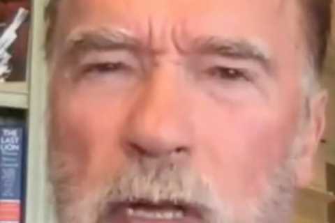 Arnold Schwarzenegger’s ‘screw your freedom’ rant about ‘schmuck’ anti-maskers leads to him being..