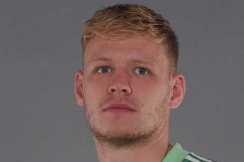 Arsenal fans should give Aaron Ramsdale a chance after transfer as England ace can lead them back..