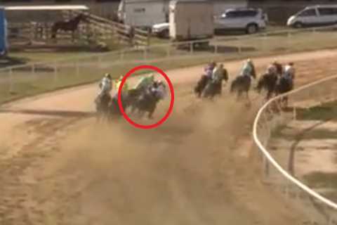 Watch hero jockey sacrifice victory to save rival from potentially fatal fall with incredible..