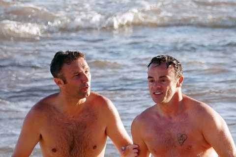 Ant McPartlin takes his best MATE on honeymoon with him and Anne-Marie – and it’s not Dec