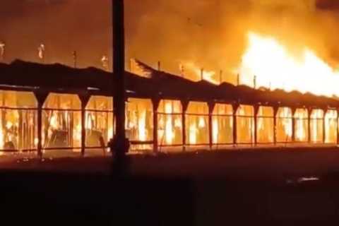 Racehorse that escaped track onto motorway rescued AGAIN as huge fire breaks out at track and..