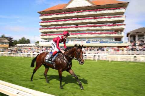 Matt Chapman’s Monday Yeeehaaa – Who’s the best horse in the world? Here’s my vote plus some..