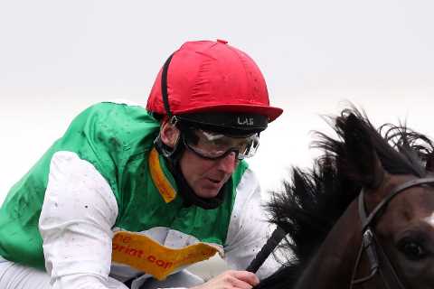 Pyledriver OUT of Arc contention as trainer William Muir opts for multi-million pound prize money..