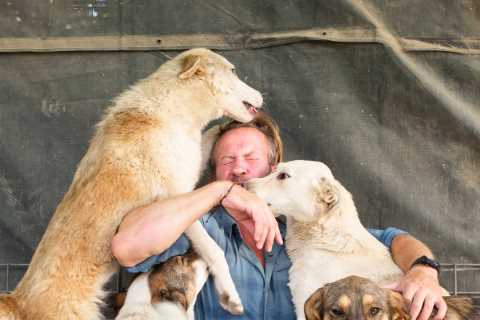 Ex-Royal Marine racing against time to save 173 rescue pets and 68 Afghan refugees facing death in..