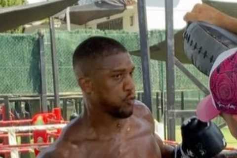 Anthony Joshua reveals his tactics for Oleksandr Usyk fight and how he plans to ‘pin down’ rival as ..