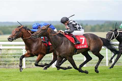 ABBA star cheers on shock 20-1 winner at Goodwood as Lavender’s Blue edges out Benbatl in thrilling ..