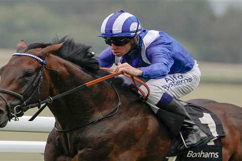 Unbeaten potential superstar Baaeed gets green light to face Group 1 test in France while Martyn..