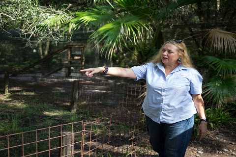 Tiger King star Carole Baskin sells rival Joe Exotic’s former property for $140,000 – and bans it..