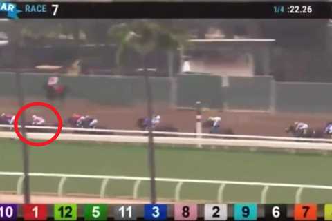 Disaster horse race with crash so bad it’s ruled ‘no contest’ sees two jockeys banned after ‘once..
